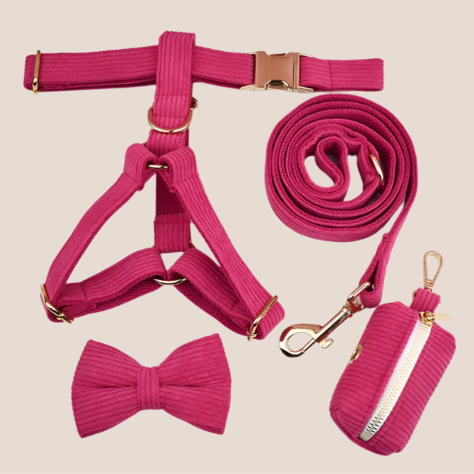 Dark Pink Corduroy Engraved Pet Set