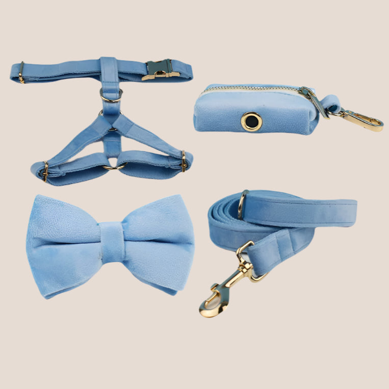 Personalized Pet ID Collar, Harness Leash & Accessories Set Light Blue Velvet