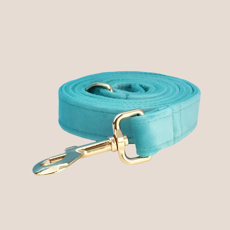 Turquoise Velvet Engraved Pet Set