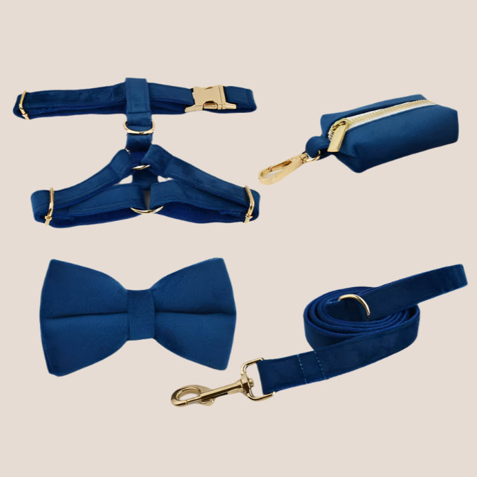 Royal Blue Velvet Engraved Pet Set