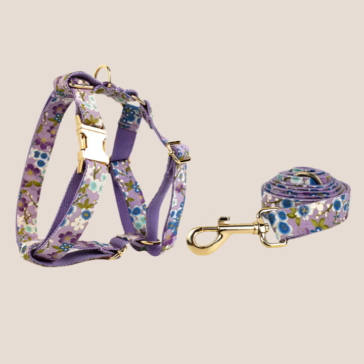 Personalized Pet ID Collar, Harness Leash & Accessories Set Purple Floral