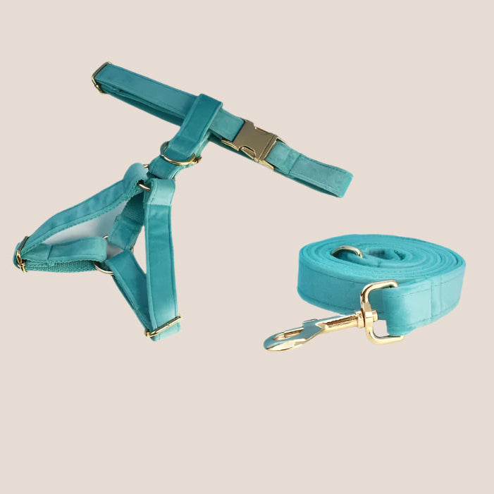 Turquoise Velvet Engraved Pet Set