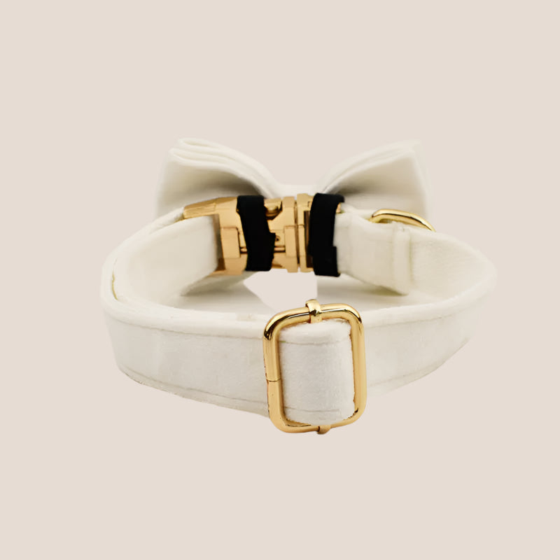 White Velvet Engraved Pet Set