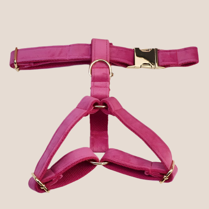 Dark Pink Velvet Engraved Pet Set