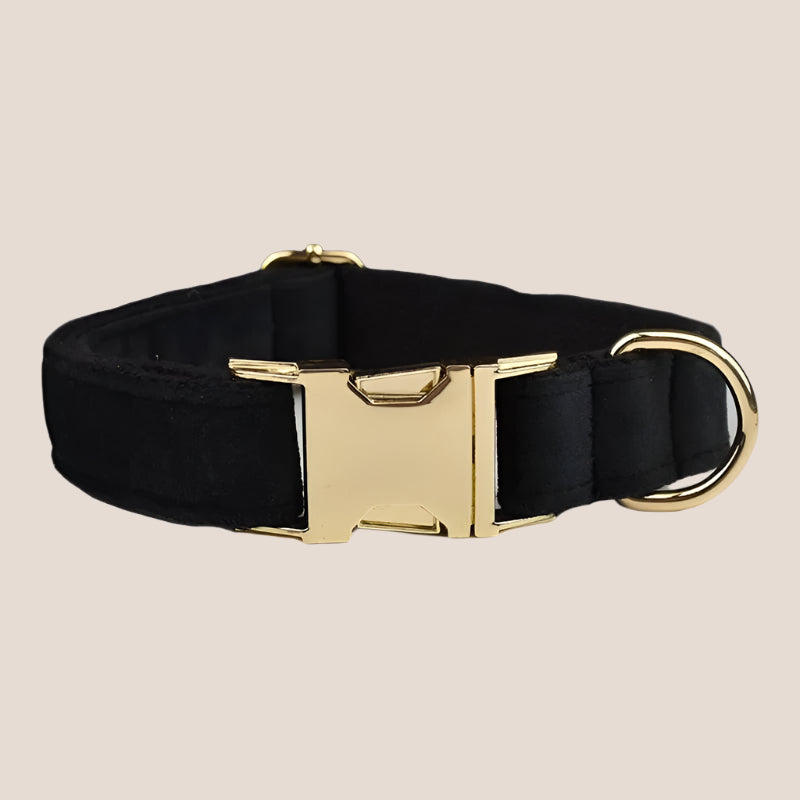 Black Velvet Engraved Pet Set
