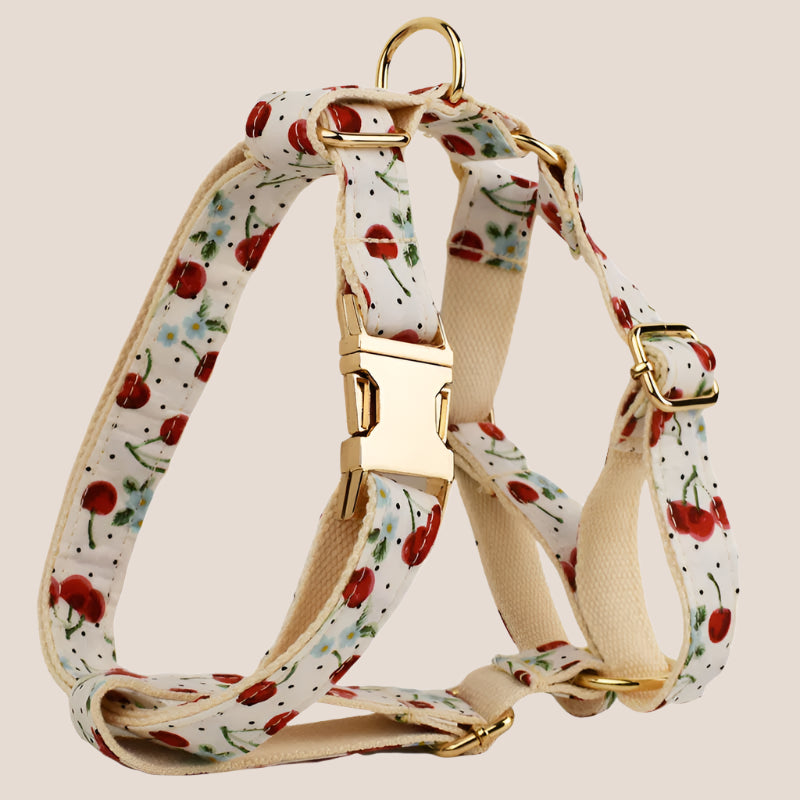 Personalized Pet ID Collar, Harness Leash & Accessories Set Cherry