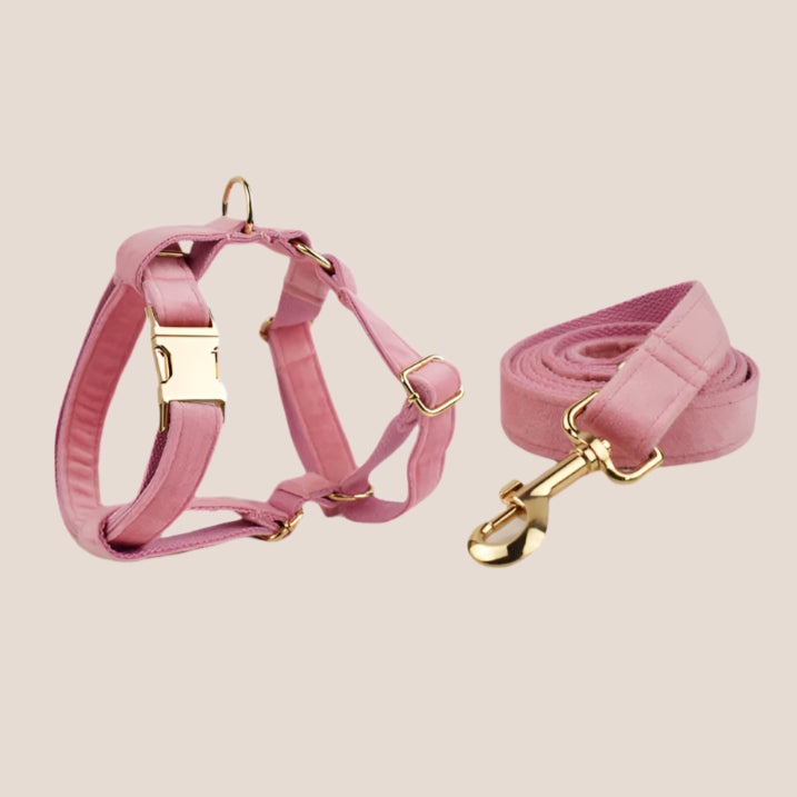 Baby Pink Velvet Engraved Pet Set