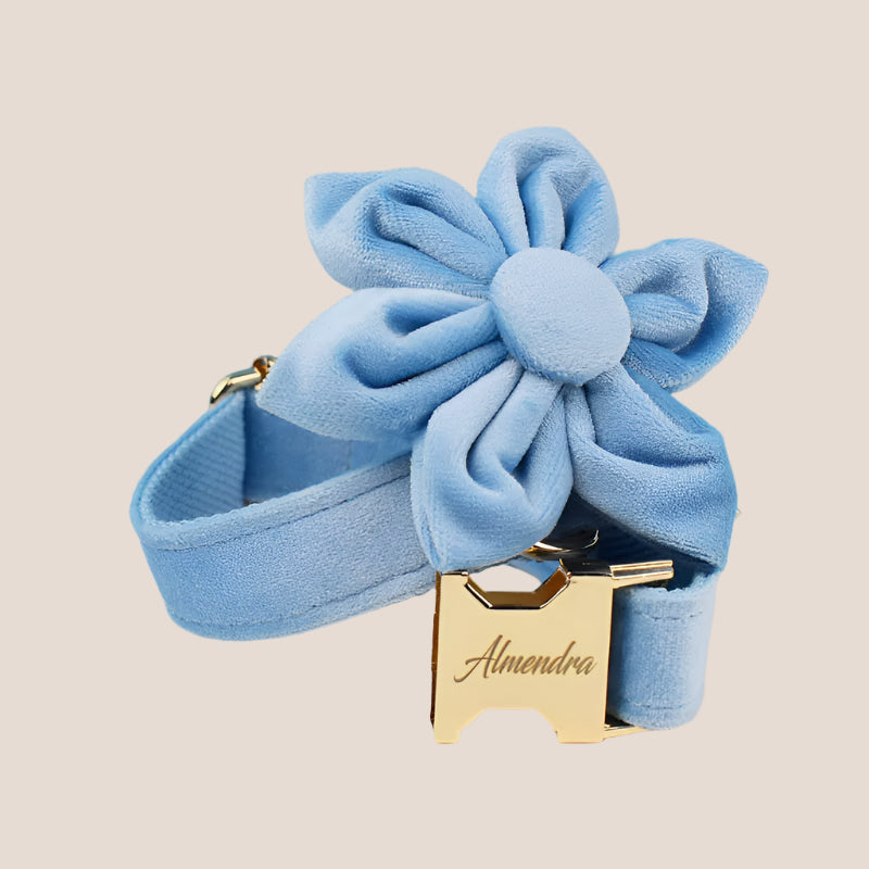 Personalized Pet ID Collar, Harness Leash & Accessories Set Light Blue Velvet