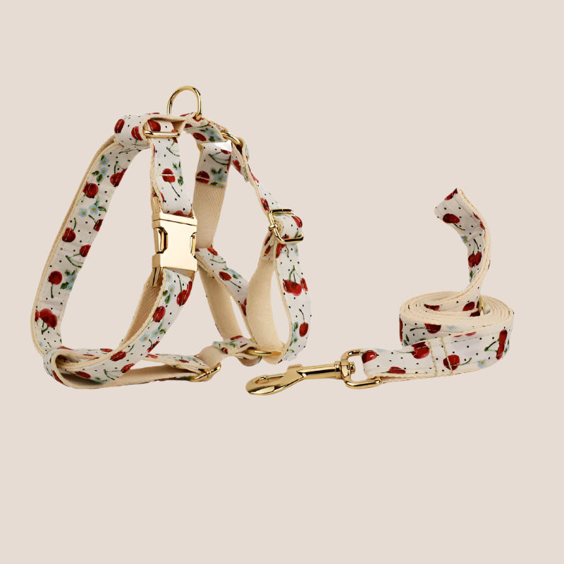 Personalized Pet ID Collar, Harness Leash & Accessories Set Cherry