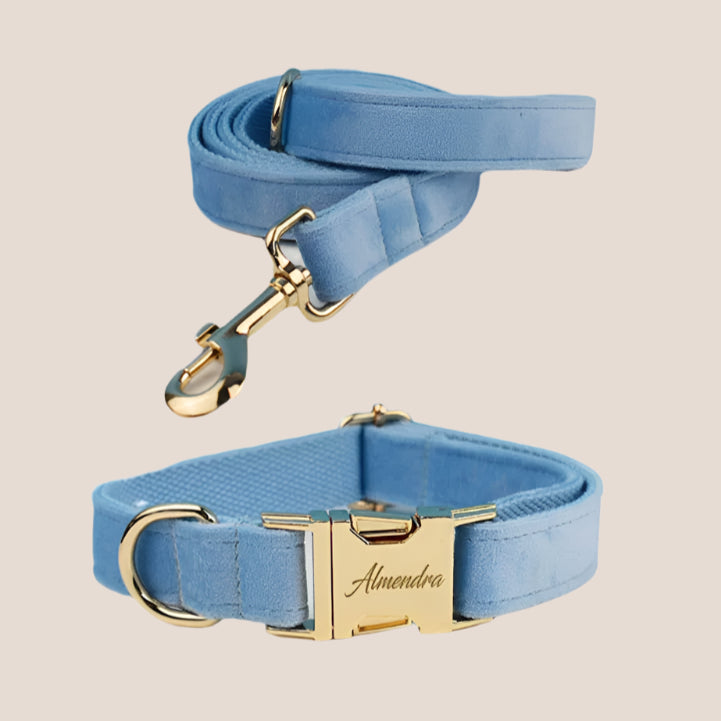 Personalized Pet ID Collar, Harness Leash & Accessories Set Light Blue Velvet