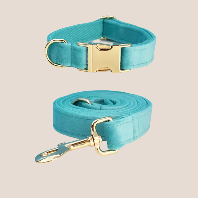 Turquoise Velvet Engraved Pet Set