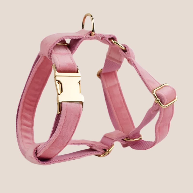 Baby Pink Velvet Engraved Pet Set