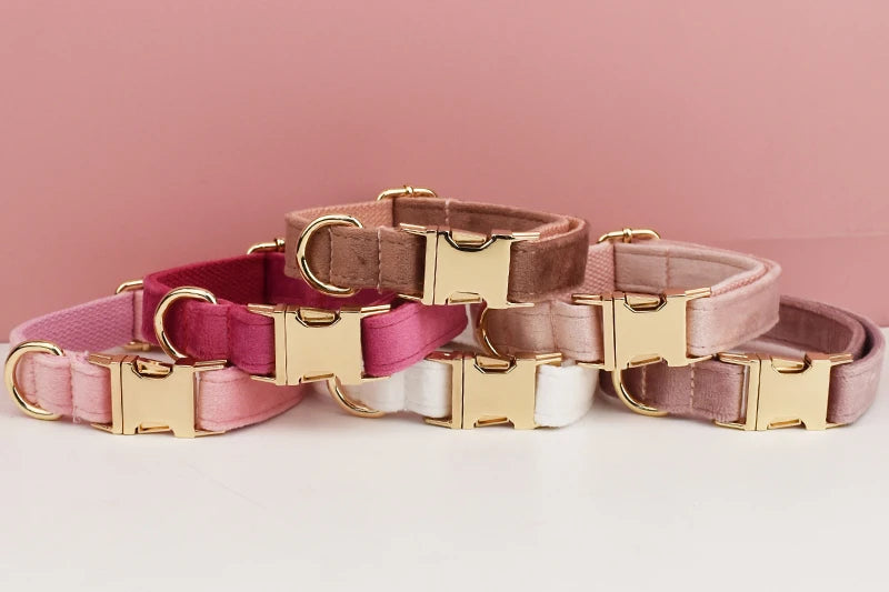 PERSONALIZED COLLAR LEASH AND TIE SETS