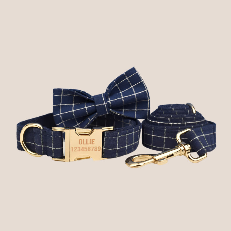 Personalized Pet ID Collar, Harness Leash & Accessories Set Blue Grid