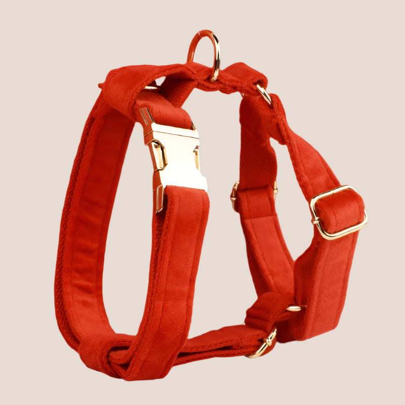 Red Velvet Engraved Pet Set