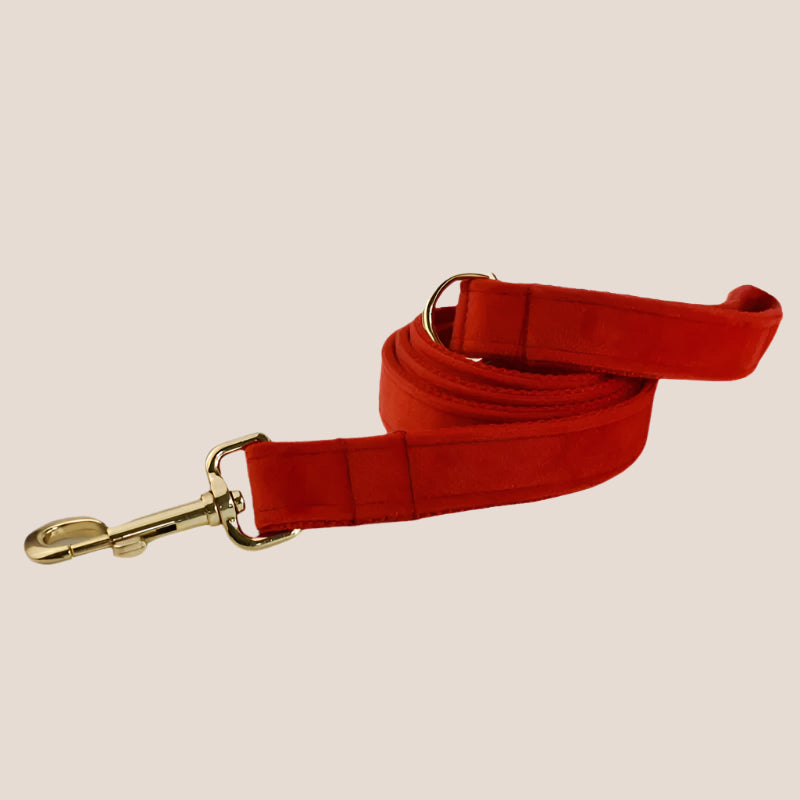 Red Velvet Engraved Pet Set