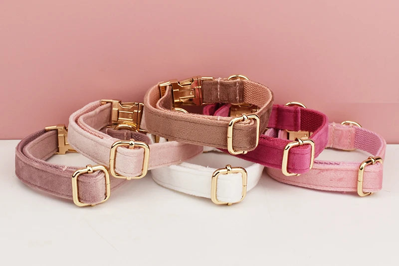 PERSONALIZED COLLAR LEASH AND TIE SETS