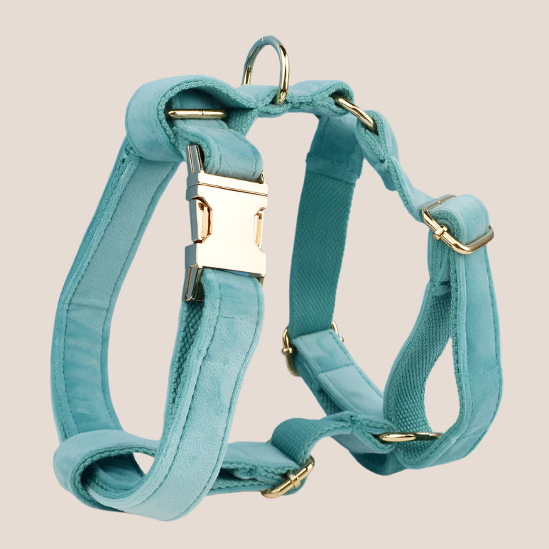 Turquoise Velvet Engraved Pet Set