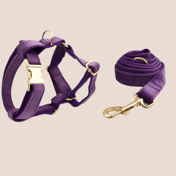 Purple Velvet Engraved Pet Set