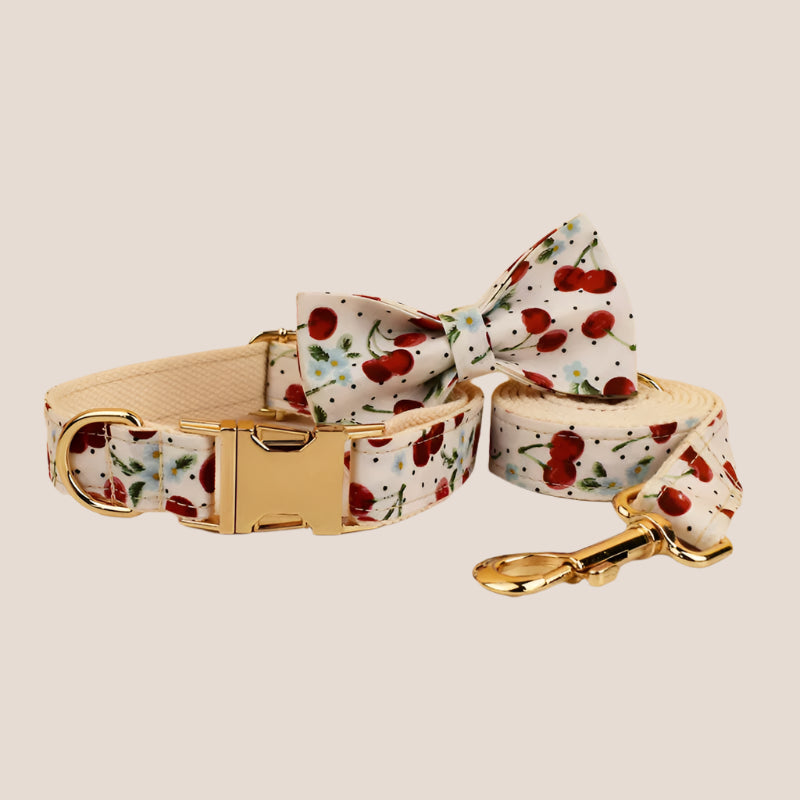 Personalized Pet ID Collar, Harness Leash & Accessories Set Cherry