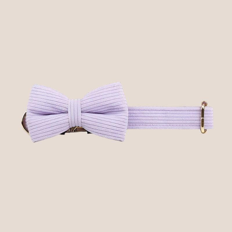 Personalized Pet ID Collar, Harness Leash & Accessories Set Lilac Corduroy
