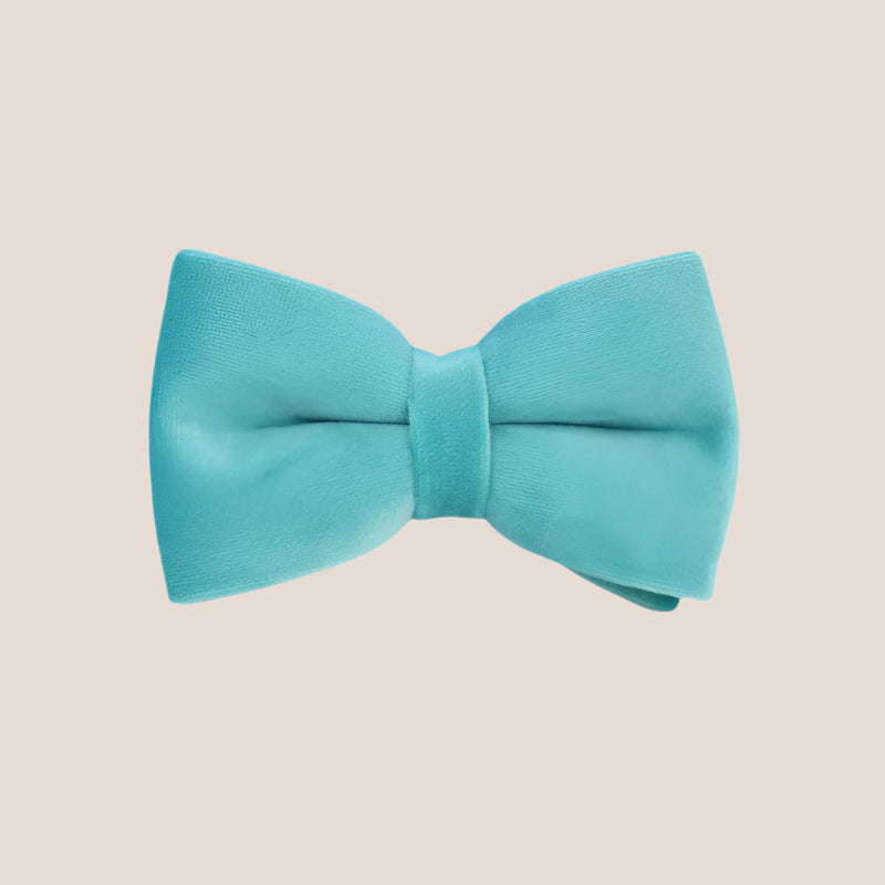 Turquoise Velvet Engraved Pet Set