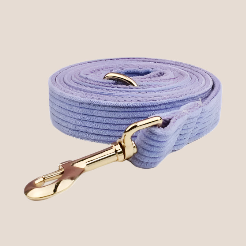 Personalized Pet ID Collar, Harness Leash & Accessories Set Purple Corduroy