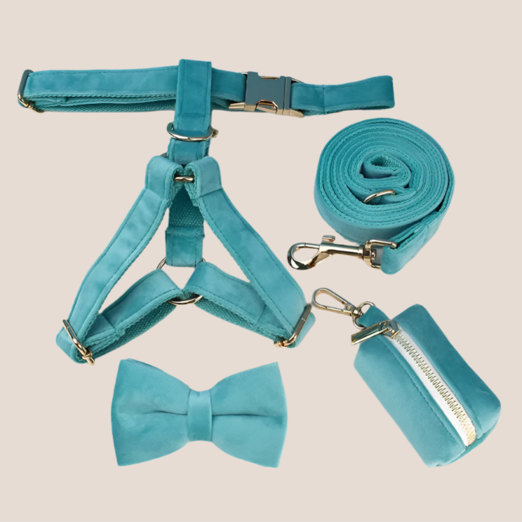 Turquoise Velvet Engraved Pet Set