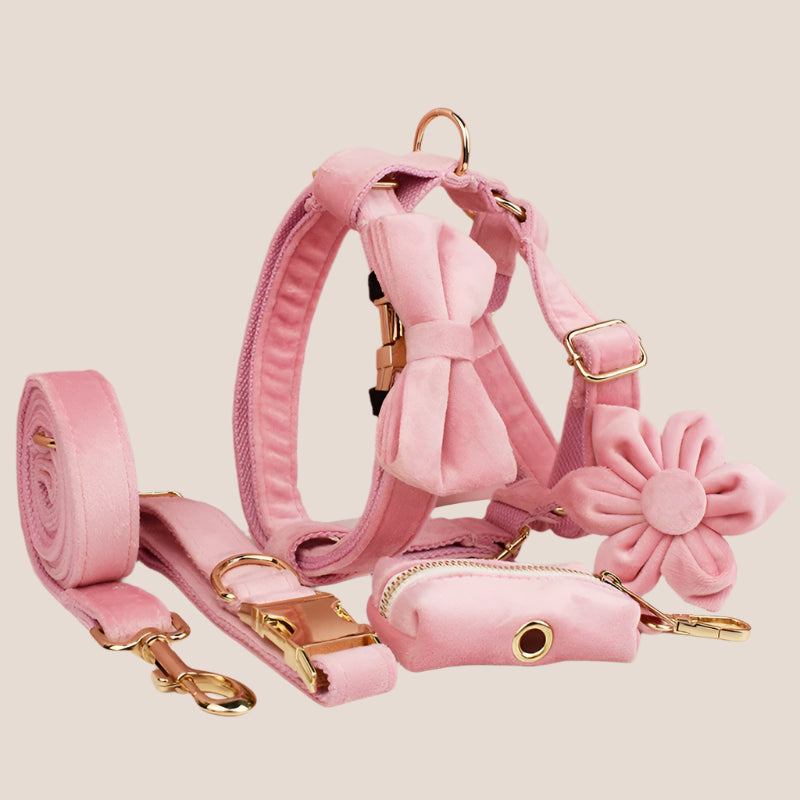 Baby Pink Velvet Engraved Pet Set