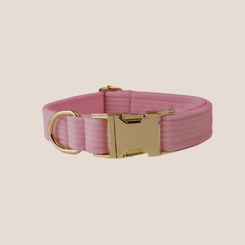Personalized Pet ID Collar, Harness Leash & Accessories Set Royal Pink Corduroy