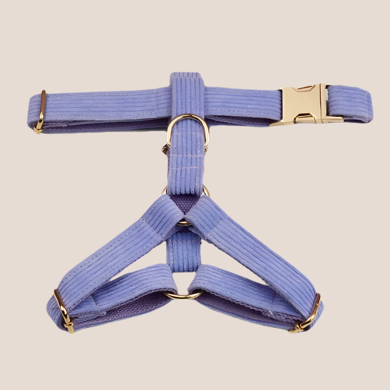 Personalized Pet ID Collar, Harness Leash & Accessories Set Purple Corduroy