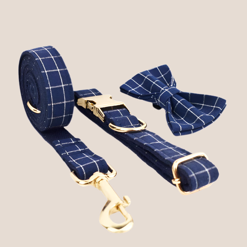 Personalized Pet ID Collar, Harness Leash & Accessories Set Blue Grid