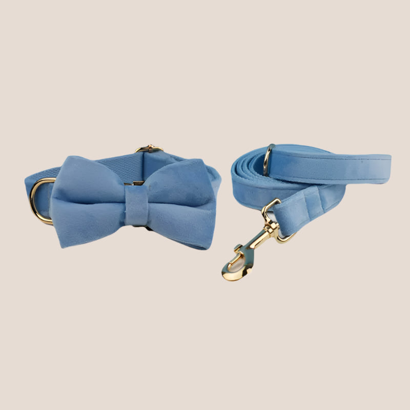 Personalized Pet ID Collar, Harness Leash & Accessories Set Light Blue Velvet