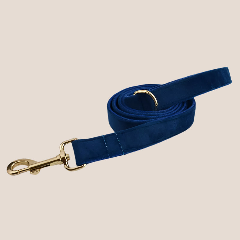 Royal Blue Velvet Engraved Pet Set