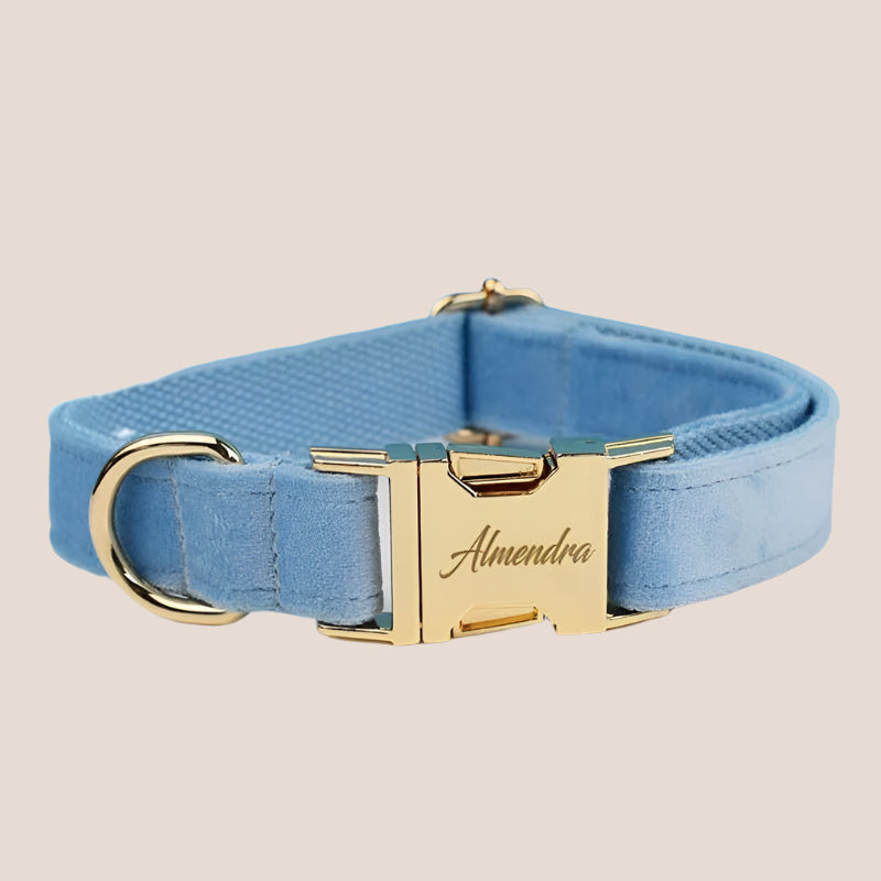 Personalized Pet ID Collar, Harness Leash & Accessories Set Light Blue Velvet