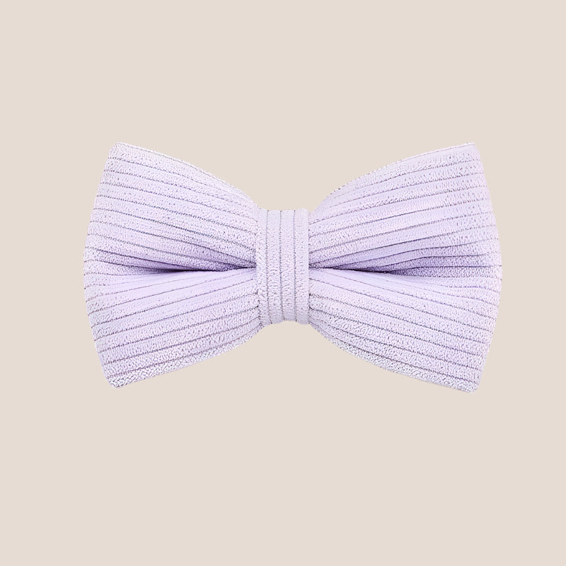 Personalized Pet ID Collar, Harness Leash & Accessories Set Lilac Corduroy