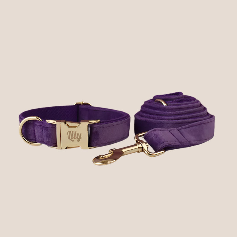 Purple Velvet Engraved Pet Set