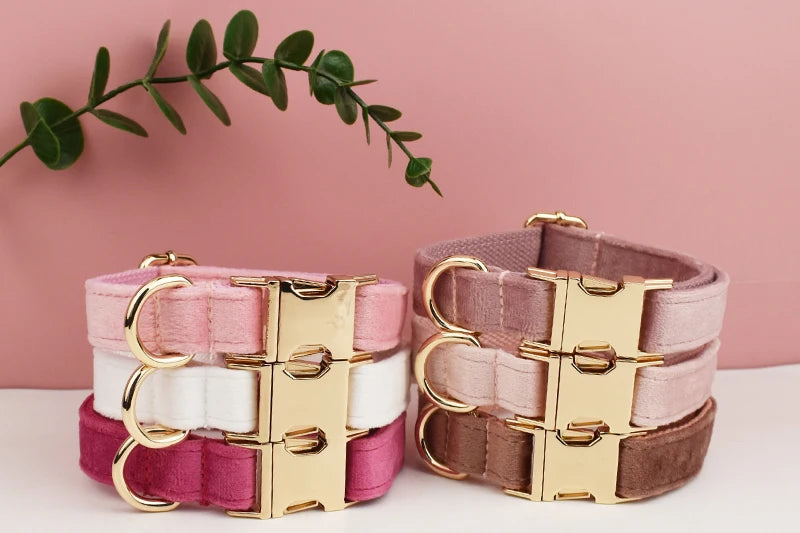 PERSONALIZED COLLAR LEASH AND TIE SETS