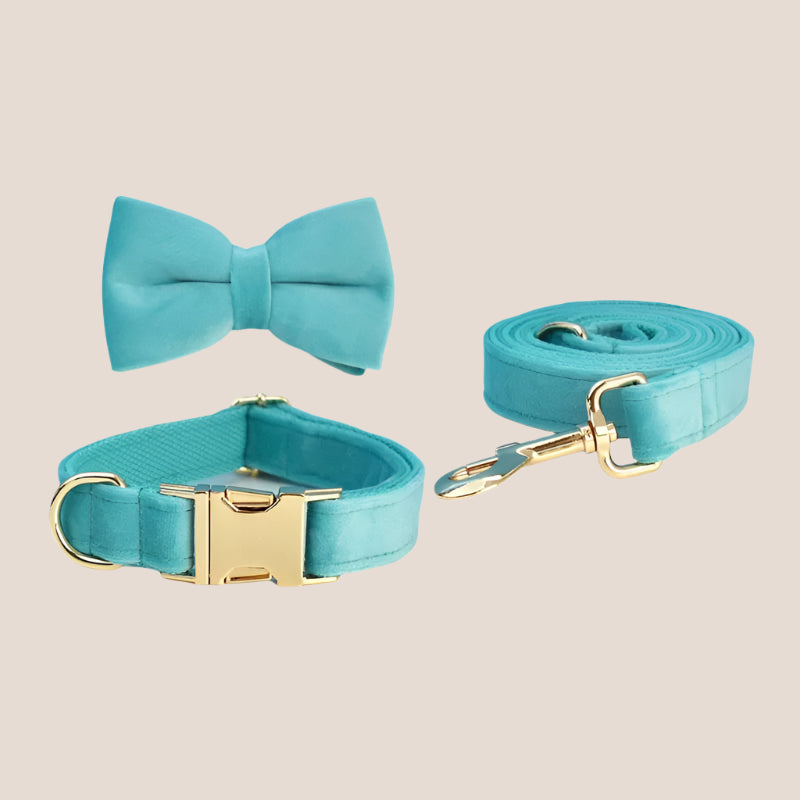 Turquoise Velvet Engraved Pet Set