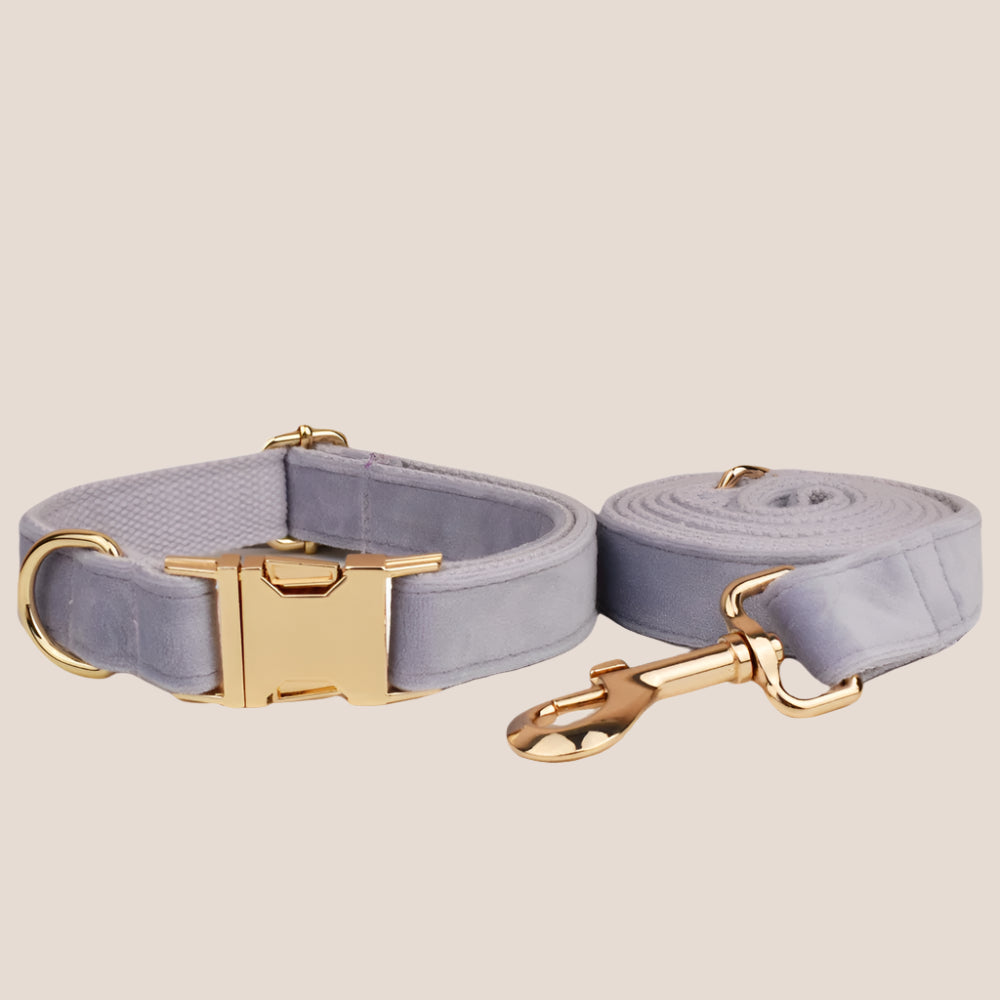 Personalized Pet ID Collar, Harness Leash & Accessories Set Lilac Velvet
