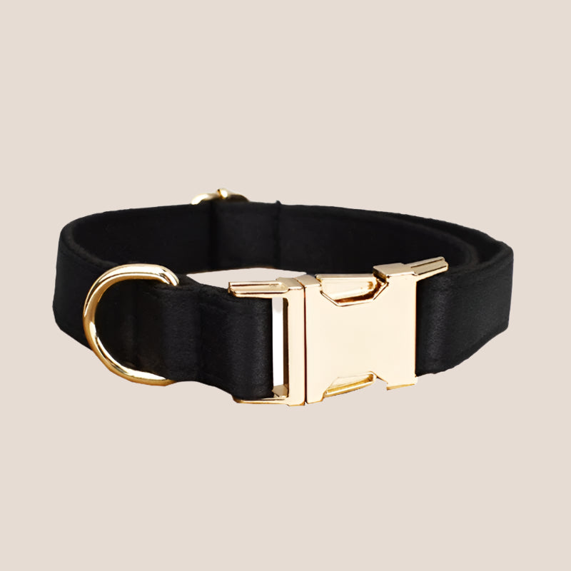 Personalized Pet ID Collar, Harness Leash & Accessories Set Black Satin