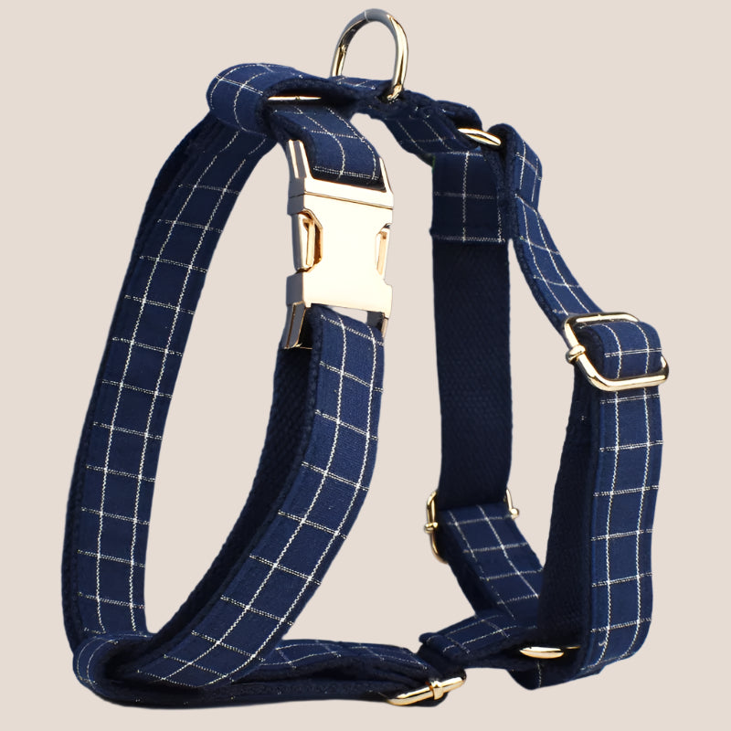 Personalized Pet ID Collar, Harness Leash & Accessories Set Blue Grid