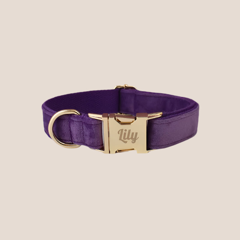 Purple Velvet Engraved Pet Set