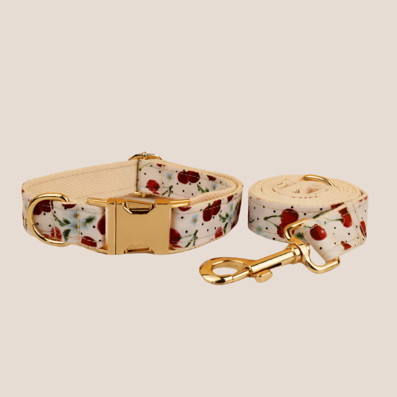 Personalized Pet ID Collar, Harness Leash & Accessories Set Cherry