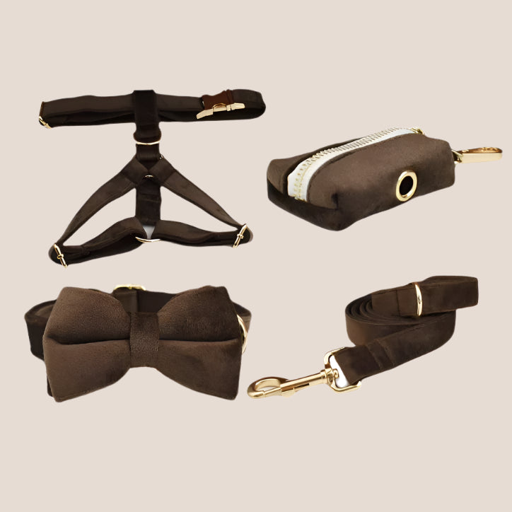 Personalized Pet ID Collar, Harness Leash & Accessories Set Brown Velvet