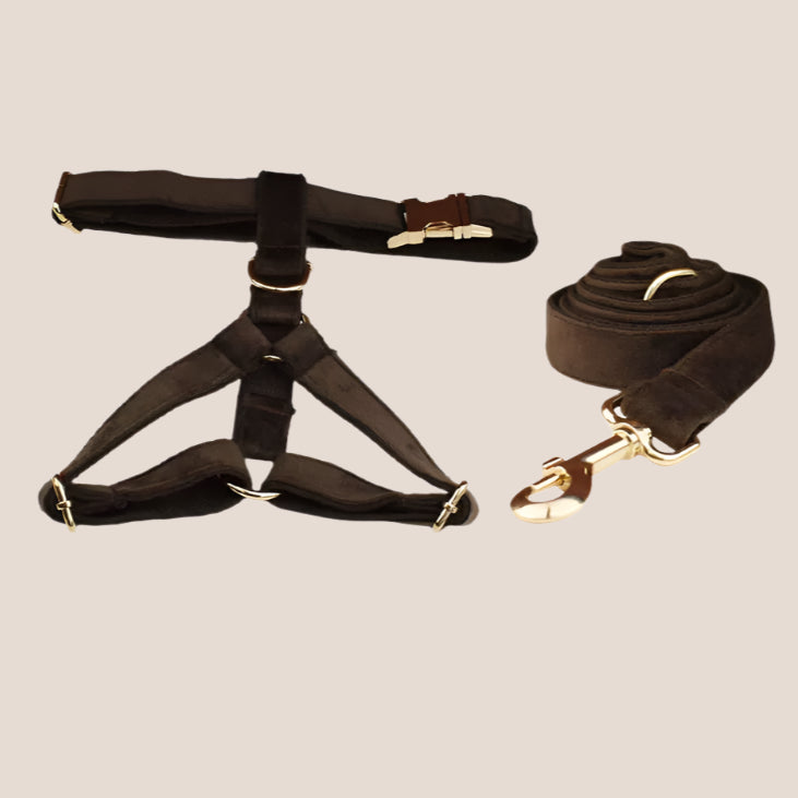 Personalized Pet ID Collar, Harness Leash & Accessories Set Brown Velvet