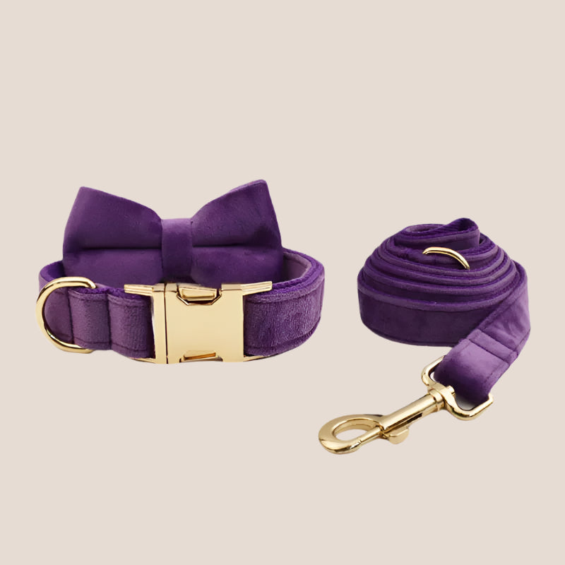 Purple Velvet Engraved Pet Set