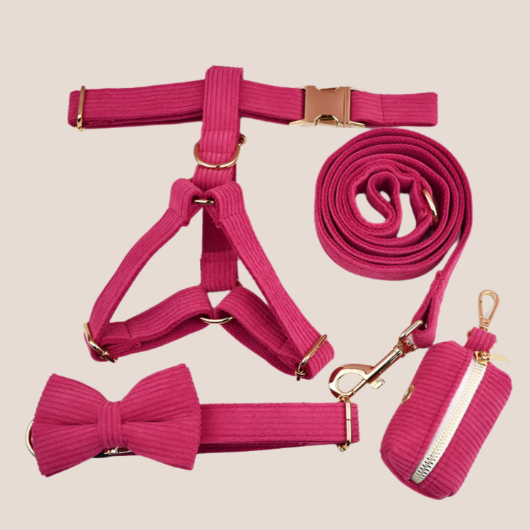Dark Pink Corduroy Engraved Pet Set