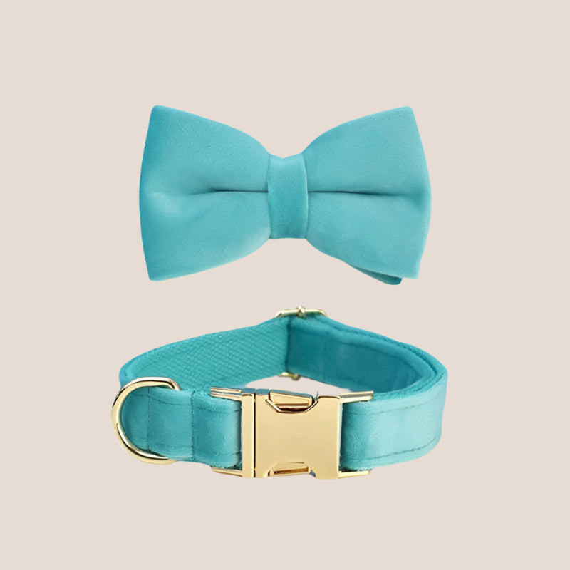 Turquoise Velvet Engraved Pet Set