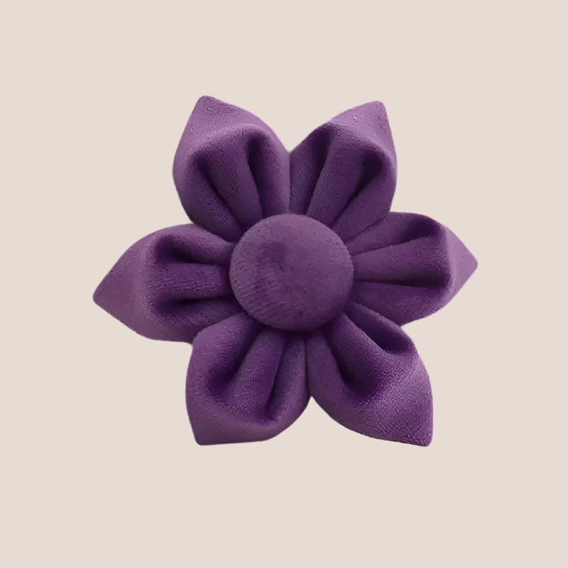 Purple Velvet Engraved Pet Set
